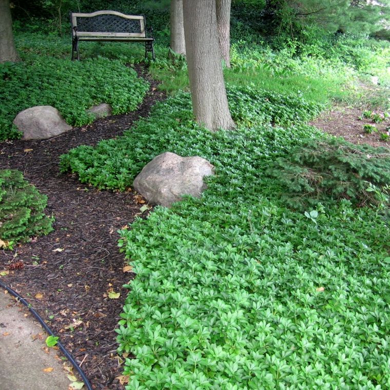 El suelo ideal para el jardín