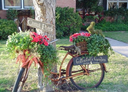 Como crear puntos focales en el jardín