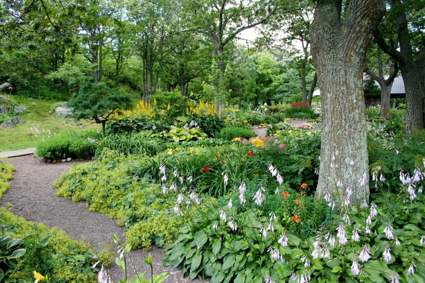 Como seleccionar las plantas y flores para el jardín