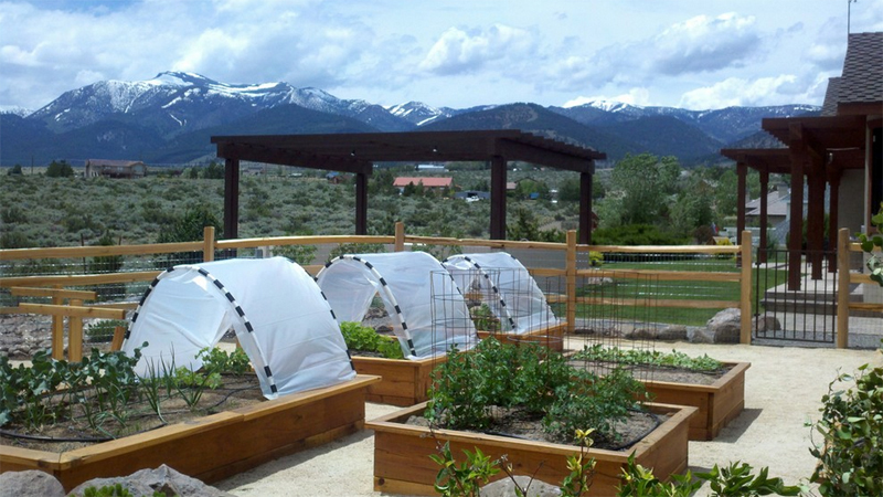 Como proteger las plantas de la lluvia