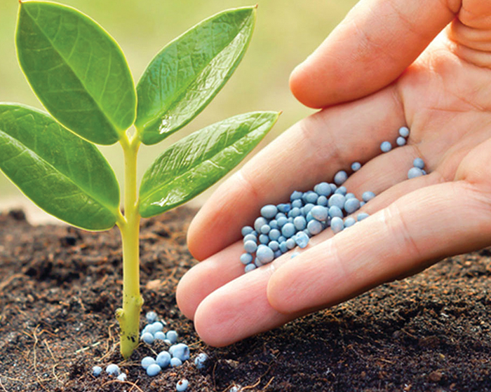 Nutrientes para plantas hidropónicas