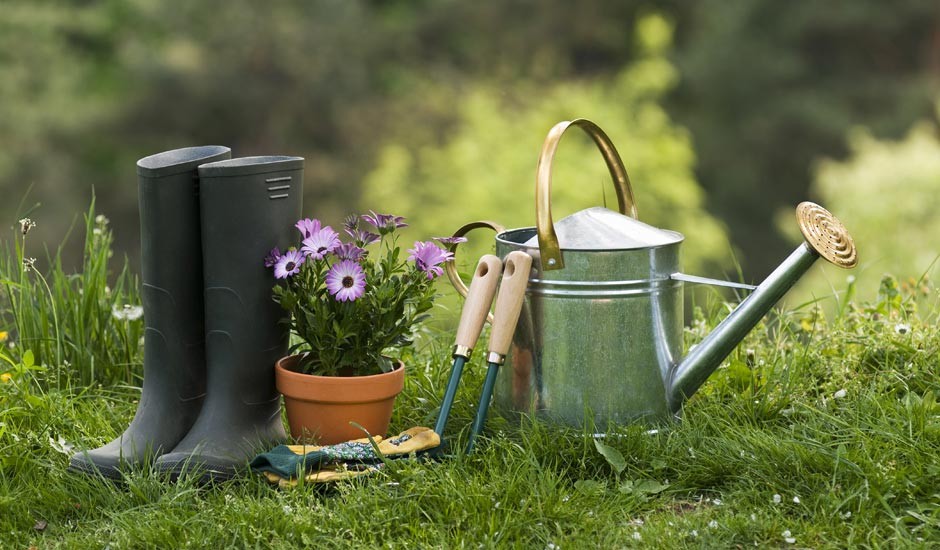 Errores en la jardinería que se deben evitar