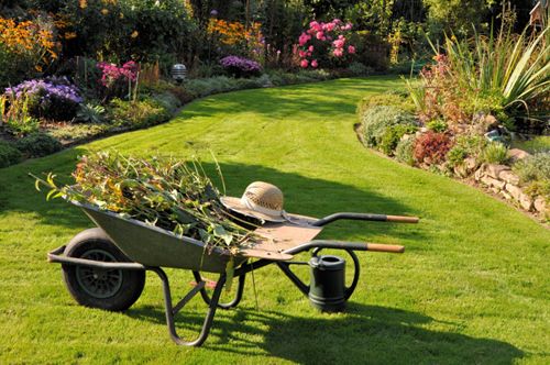 Tareas básicas de la jardinería