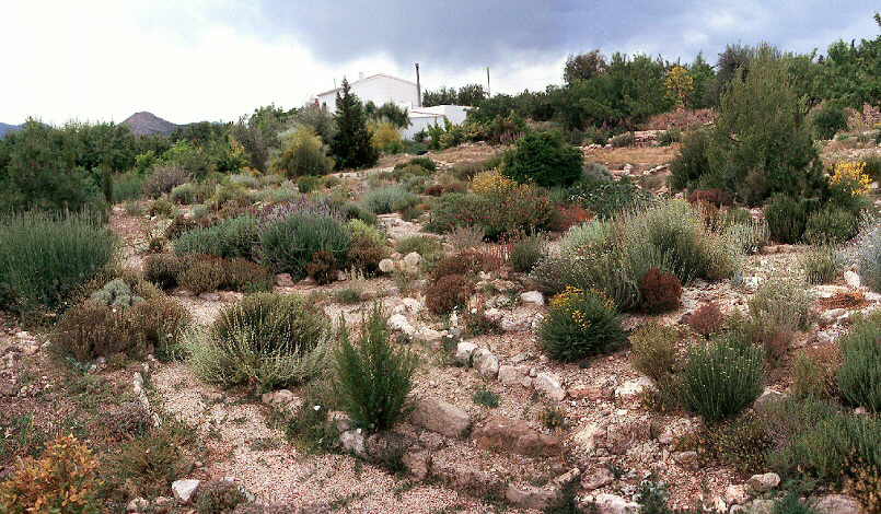 Claves de la xerojardinería