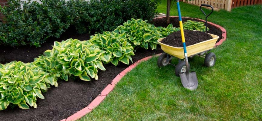 Como utilizar el sulfato de cobre en jardines