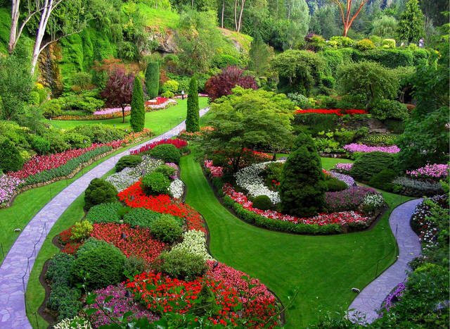 Bordes de flores en el jardín